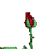 Fragrance